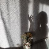 🌻ДУША ИНТУИТА|Яна Лиса