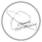 П. А. С. А. | Политический Анализ Софии Анищенко