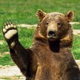 Мишки в интернете