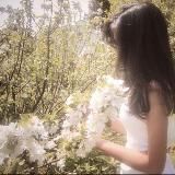 истина солнца