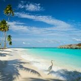 | Money from the air | 🔥👑