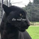 Лера Киса Мягколапка💋