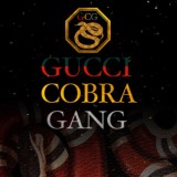 Gucci Cobra Gang
