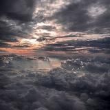 Мандаринки 🍊