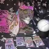 crazy witch🧚🏼♂️