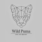 Wild Puma | ОБУЧЕНИЕ