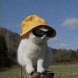 твой бро 👊🏻