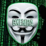 ОГЭ ЕГЭ | Сливы