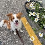 ₊˚.⋆ 𝑲𝑬𝑳𝑨𝒀 ‧ 。 ゚