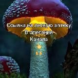 Мухомор красный ,, славянский лекарь,,🍄🍄🍄🌱🌞Лесная аптека