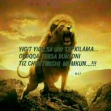 👉HAMMA BIRGALIKDA👈