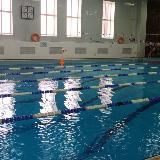 Самородок,плавательный бассейн🏊🏊♀🐬