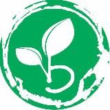 Ботаника 🌱