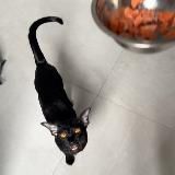 дорогой дневник