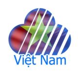 Skycoin: Vietnam