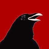 CafeRevolution , Johnee H -truth matters