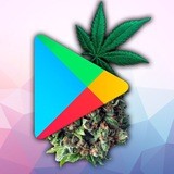 Kanal kanaet i bydet kanat'