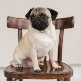 Label Hunt | by Marfa