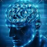 Здоровье ментальное и биохакинг ☯