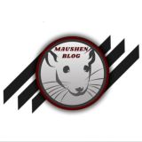 MAUSHEN BLOG