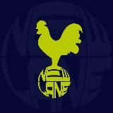 Tottenham Hotspur | New Lane