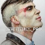 🅂🄷🄴🄻🄱🅈_🄿🅁🄾