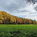 Удельный парк 🌳