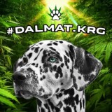 🔰Dalmat.krg.nature🔰