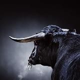 AAX трейдер, инвестор