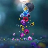 🧿 Картинки live 🧿