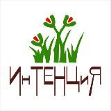 ИнТЕНЦиЯ - Цветочная мастерская