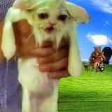 Аватарки для мужиков