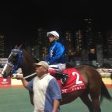 永續不打鞭贏馬騎師韋達!