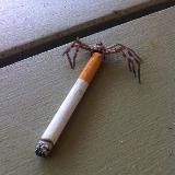 Мемы с павуками