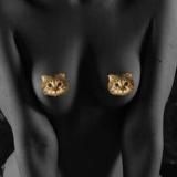 Котик вам намяукал (архив)