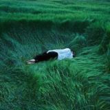 Не поймут 🍃