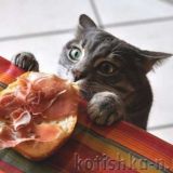 Людмила Плеханова Готовим вместе (Еда. Рецепты. ЮМОР)