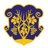 Ужгородська міська рада. Офіційна сторінка