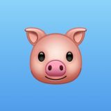 Коментарі русні🐷