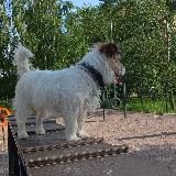 •𝑫𝒊𝒏𝒂𝒔𝒊•