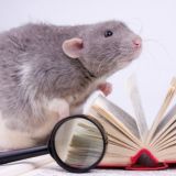 Марина Безрукова. Чтение для души💗