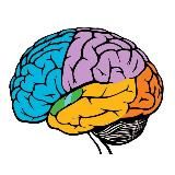 Мозгоправ_ДА📌