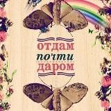 ОТДАМ ДАРОМ ️