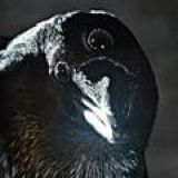 ЕкклесиастЪ