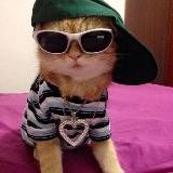 снова Ебаные Мемы