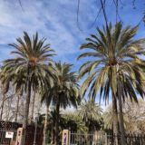 Всё о Валенсии. Дружеский чат без рекламы.