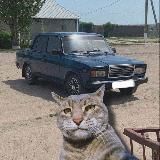Твоя машина 🛞