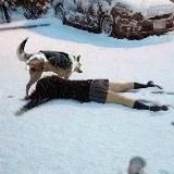 Тетрадь поноса