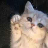 канал, что сдох нахуй