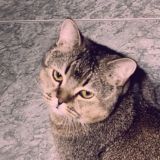 Мой небольшой бложик